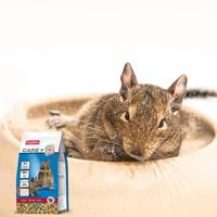 Beaphar Care+ Degoe 700g - hoogwaarde voeding voor degoes - heerlijke geur en smaak door kruiden - hoog ruwvezelgehalte - alles in 1 brokje - thumbnail