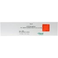 Homeoden Heel Hypericum creme 50 Gram - thumbnail
