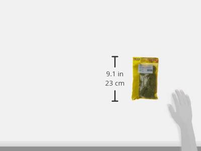 NOCH 07110 Wildgras XL Weide Weide