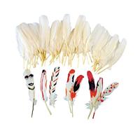 Colorations natuurlijke witte veren, 48st. - thumbnail