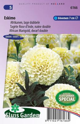 Tagetes Patula zaden erecta Eskimo afrikaan Tagetes Patula zaden erecta Eskimo afrikaan
