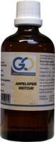 GO Ampelopsis weitchii bio 100 Milliliter - thumbnail
