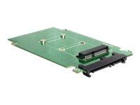 DeLOCK Converter SATA 22Pin -> mSATA 2,5" inbouwframe - thumbnail