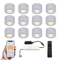 Set van 12 Navarra Smart LED Mini opbouwspots - Veranda spots - 12V 3W 200lm - Dimbaar - Wifi & Bluetooth - 2700K - IP44 waterdicht - RVS - thumbnail