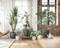 Pot - ARTEVASI - SAN REMO - 42m - Wit - thumbnail