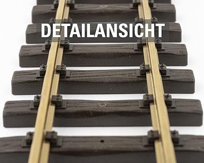 G LGB rails 10000 Rechte rails 300 mm 1 stuk(s)