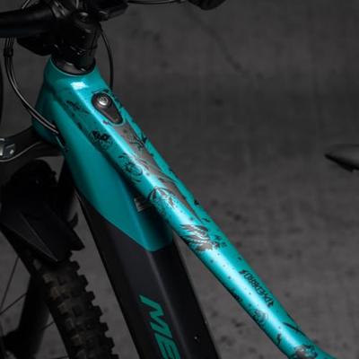 DYEDBRO clear e-bikeframe protector kit