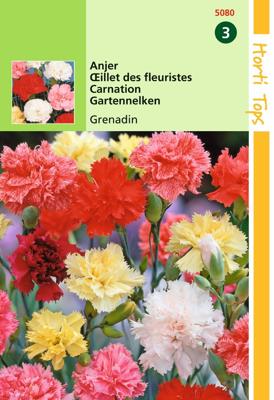 Zaden Dianthus Anjer Grenadin gemengd Hortitops - Hortitops