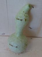 Herfst decoratie sierkalebas 1 stuk Warentuin Natuurlijk - Warentuin natuurlijk - thumbnail