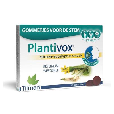 Plantivox Pastilles 24