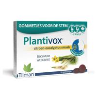 Plantivox Pastilles 24 - thumbnail