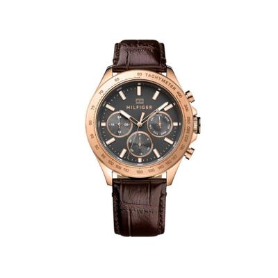 Tommy Hilfiger Hudson TH1791225 Tommy Hilfiger Hudson TH1791225