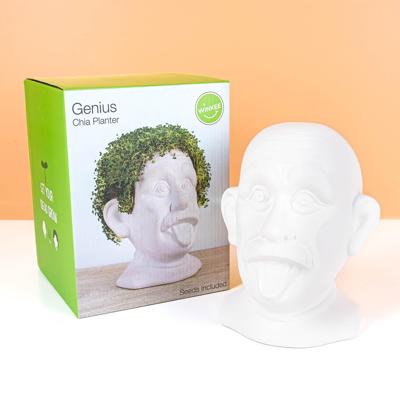 Einstein bloempot met zaadjes Einstein bloempot met zaadjes