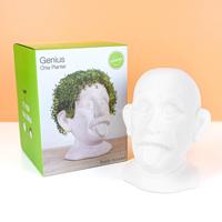 Einstein bloempot met zaadjes - thumbnail