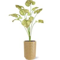 Brunnera kunstplant 55cm - groen/bruin - thumbnail