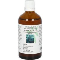 Astragalus membranaceus radix tinctuur - thumbnail