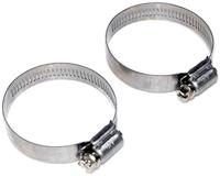 Rhododendron - thumbnail