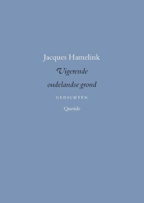 Vigerende oudelandse grond - Jacques Hamelink - ebook