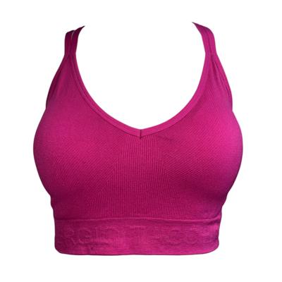 BOX OF 18 SEAMLESS SPORTS BRAS TACCHINI FUCHSIA