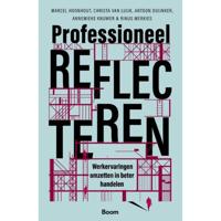 Professioneel reflecteren (Paperback) - thumbnail
