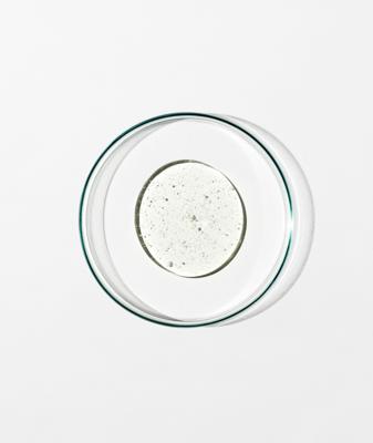 Grown Alchemist Hand Wash 500ml Hand- en voetverzorging