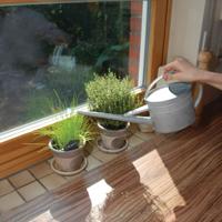 Gieter binnenshuis / Esschert Design - thumbnail