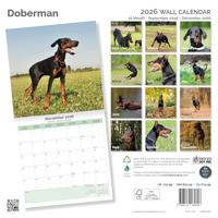 Dobermann Kalender 2026 - thumbnail