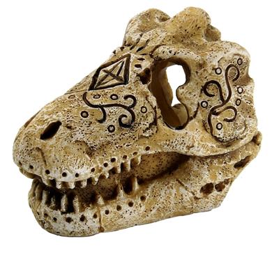 Superfish skull t rex s - Superfish - thumbnail
