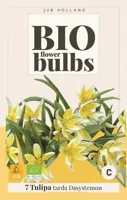 Bio tulp dasystemon tarda 7 bollen - thumbnail