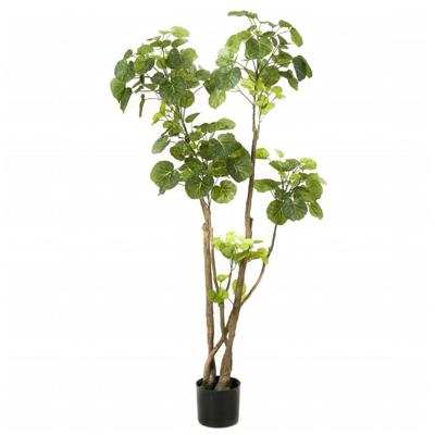 Kunstplant Boom Polyscias - 135cm