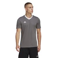 adidas Entrada 22 Voetbalshirt Grijs Wit - thumbnail
