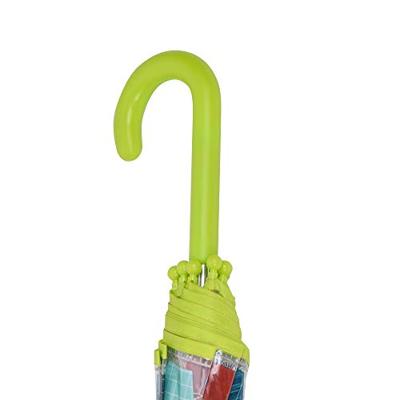 Kikkerparaplu DJECO groen