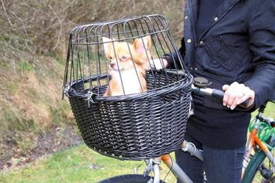TRIXIE WILGEN FIETSMAND VOOROP ZWART MET KUSSEN EN KAP - thumbnail