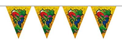Folat BV Dino vlaggenlijn, 6m.