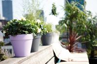 Elho Bloempot Loft Urban Rond Antraciet Ø25cm - thumbnail