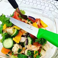 Victorinox 6.7936.12L4 Steakmes Groen - thumbnail