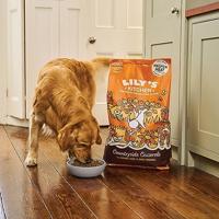 Lily&apos;s Kitchen Countryside Casserole met Kip/Eend hondenvoer 7 kilo - thumbnail