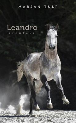 Leandro - Marjan Tulp - ebook