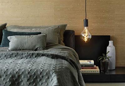 Lichtbron Organic Evo Goud E27