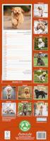 Cockapoo Slim Calendar 2026 Dog Breed Slimline Calendar - 12 Month - thumbnail