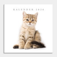 Katten Kalender 2026 - thumbnail