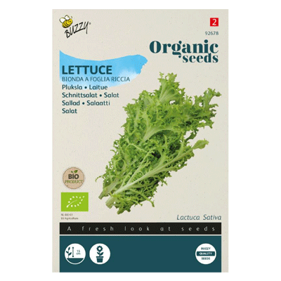 Zaden pluksla bionda a foglia 0.5 gram Organic Tuinplus - Tuinplus Zaden pluksla bionda a foglia 0.5 gram Organic Tuinplus - Tuinplus