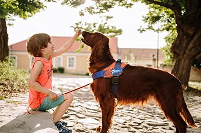 JK9® Paw Patrol Hondentuig Zuma - Maat XS