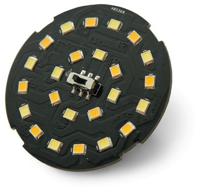 GardenLights Lichtbron12V - 12x SMD LED - 2W - 3000K + 6000K - 6244011