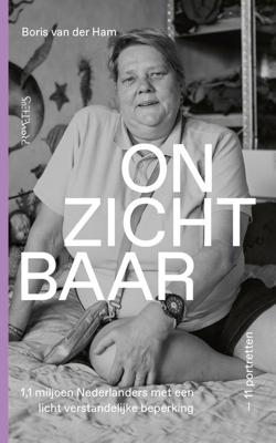 Onzichtbaar - Boris van der Ham - ebook