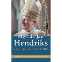 Getuigen van het Licht - Jan Hendriks - Paperback (9789493161429) - thumbnail