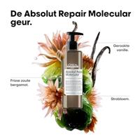 L'Oréal Professionnel Serie Expert Absolut Repair Molecular Repairing Hair Rinse-off Serum 250ml - thumbnail