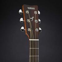 Yamaha FS800 Tinted - Akoestische gitaar - thumbnail