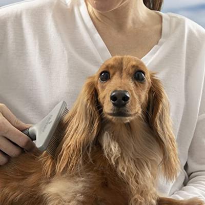 FURminator dikke vacht - kam voor honden en katten