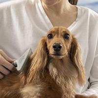 Furminator Kam met brede tanden voor dieren met dik haar - thumbnail